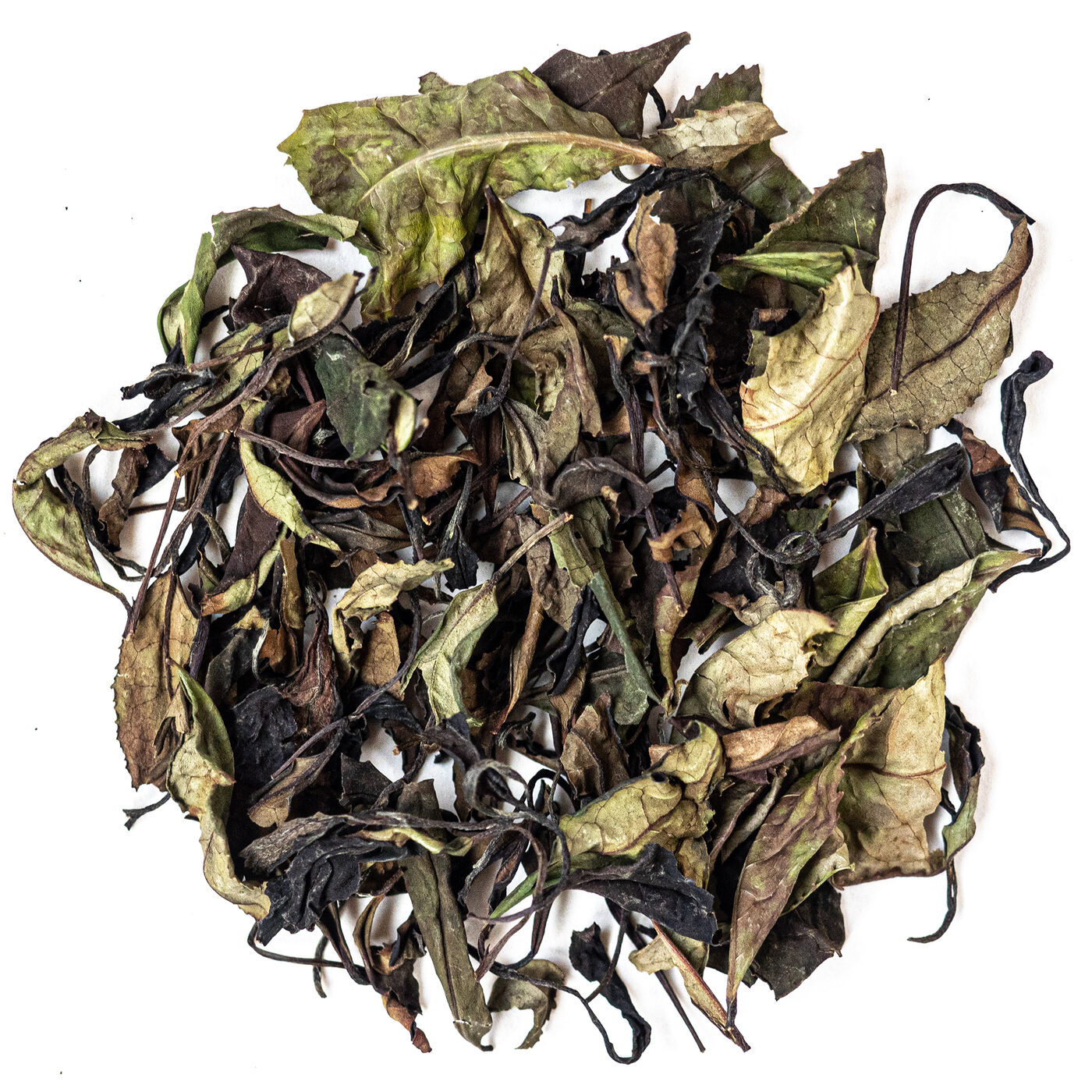 White Tea